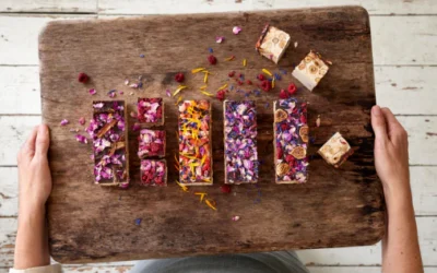 2026 February Newsletter 2