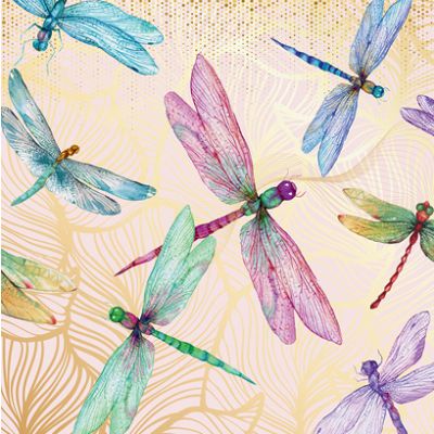 Dragonflies Peach Card