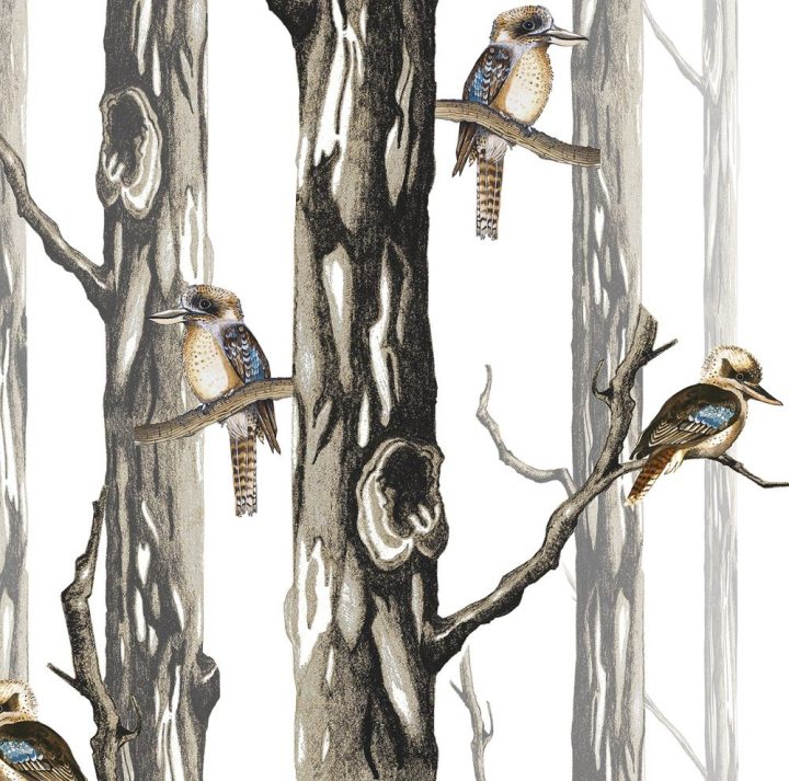Kookaburras in the Bush